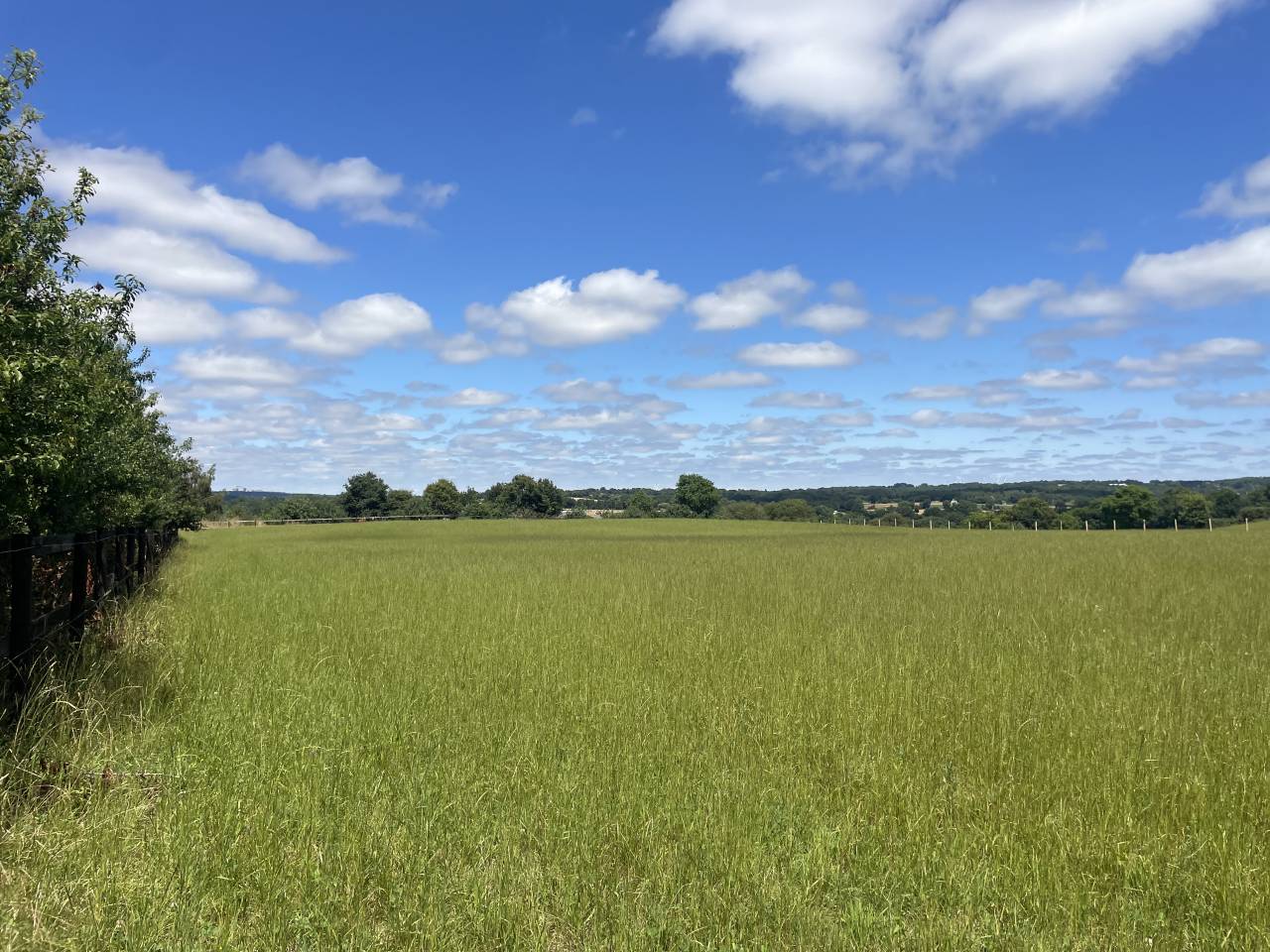 &Eacute;curie de propri&eacute;taire 