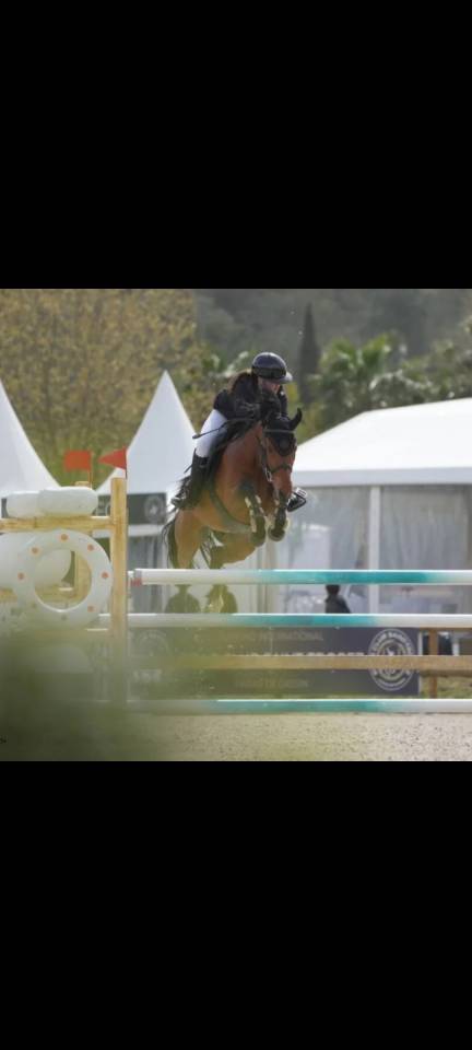 Poney 9ans pour gp à vendre 