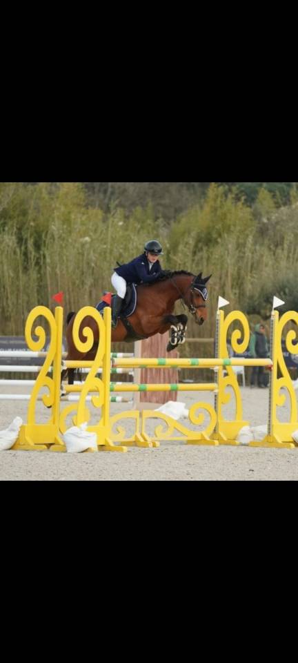 Poney 9ans pour gp à vendre 