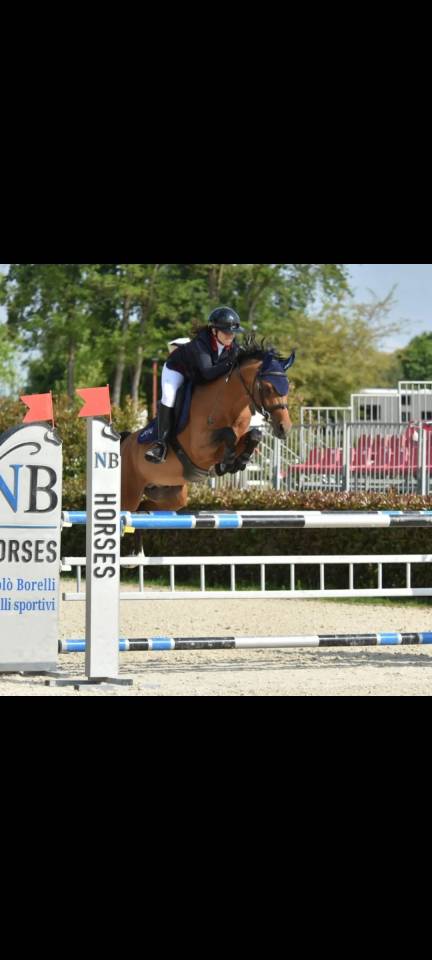 Poney 9ans pour gp à vendre 