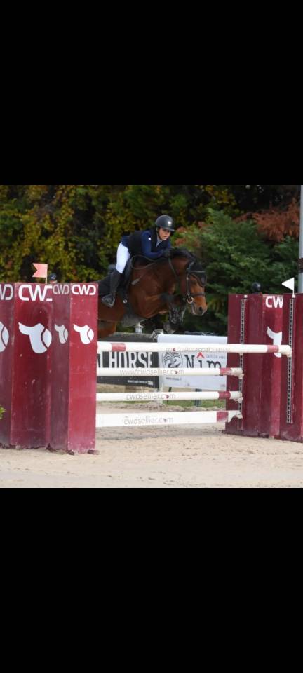 Poney 9ans pour gp à vendre 
