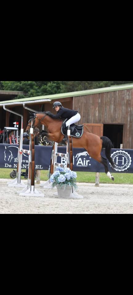 Poney 9ans pour gp à vendre 
