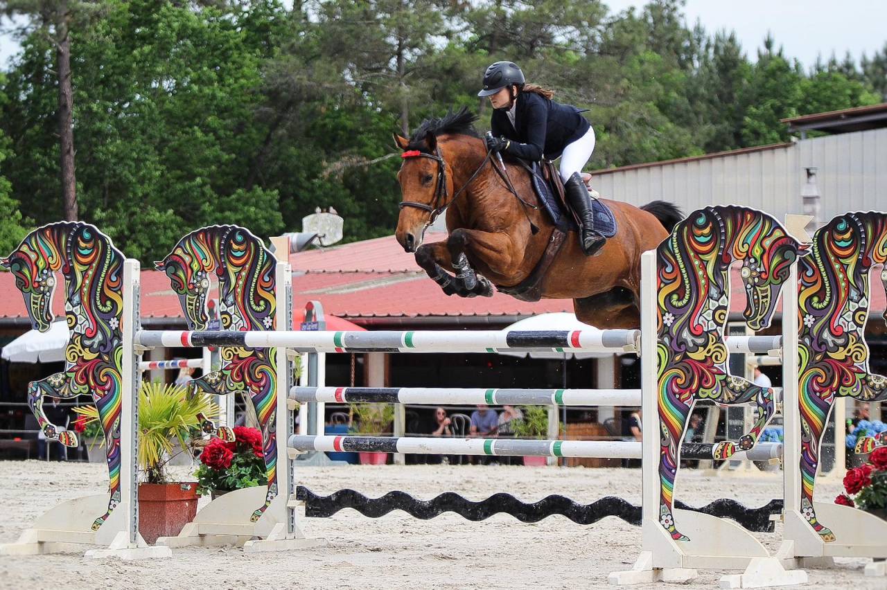 jument de CSO 