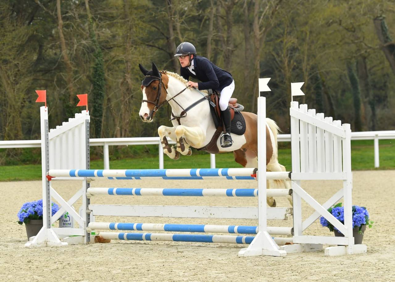 Hongre D 6 ans gros moyens 