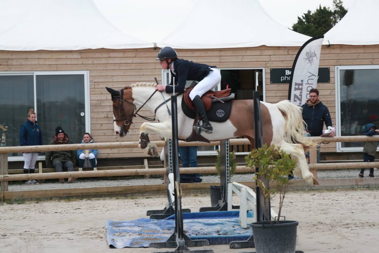 Hongre D 6 ans gros moyens 