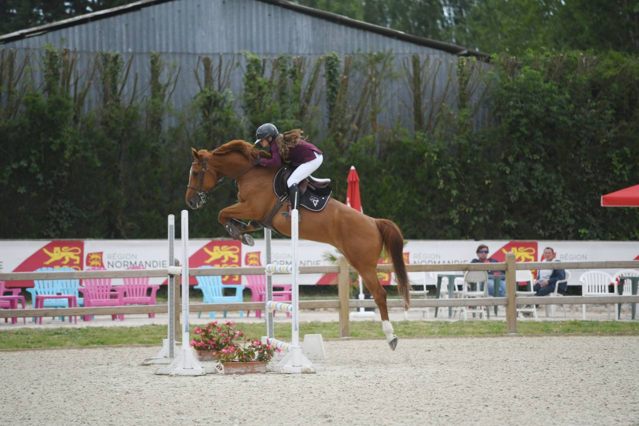 Jument à vendre par DIAMANT DE SEMILLY X SKY LOVE DC