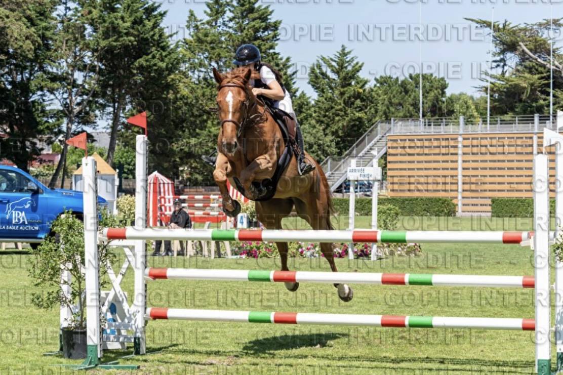 Jument à vendre par DIAMANT DE SEMILLY X SKY LOVE DC