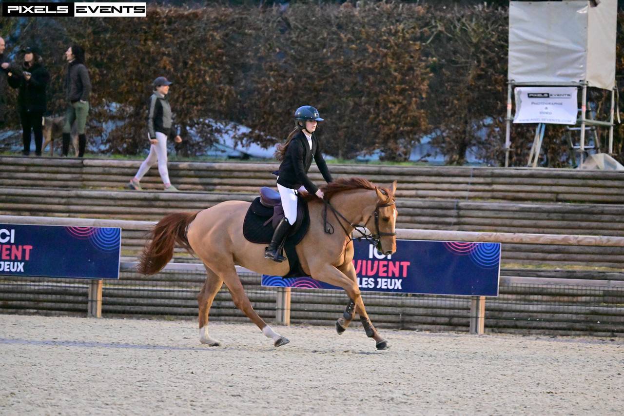 Jument à vendre par DIAMANT DE SEMILLY X SKY LOVE DC