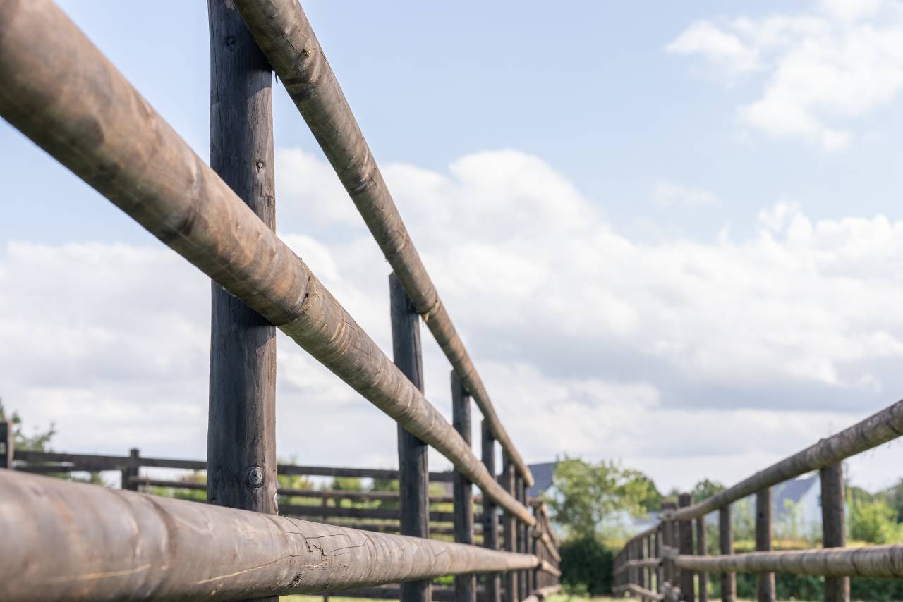 Clôtures équestres en bois Deep protect