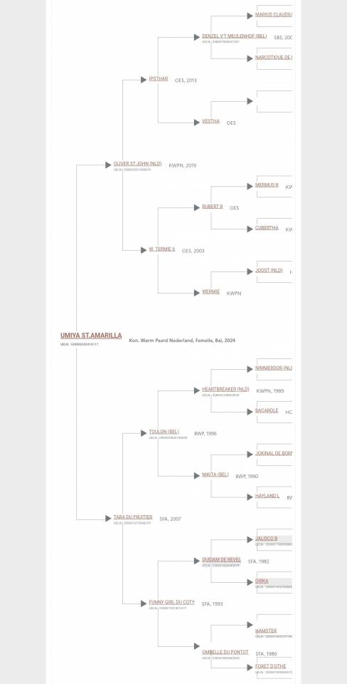 Pouliche KWPN Oliver St.John x Toulon