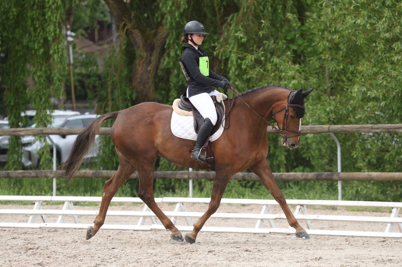  À VENDRE – Original Sinaa 