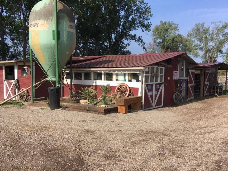 Blue Grass Ranch - Pension chevaux - Krautergersheim