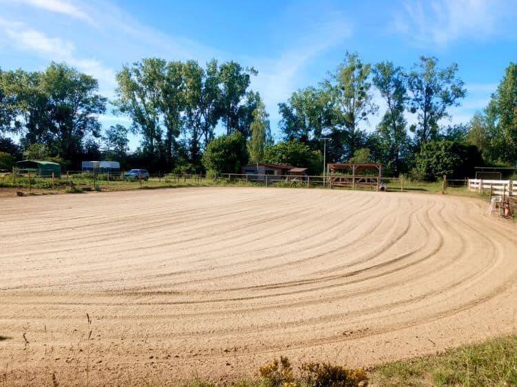 Blue Grass Ranch - Pension chevaux - Krautergersheim