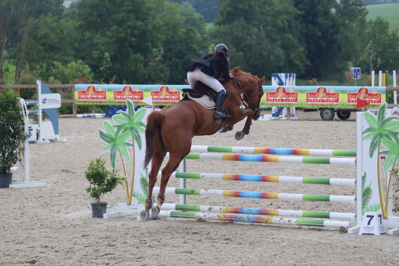 Cheval de sport à prendre en DP ou pension complète