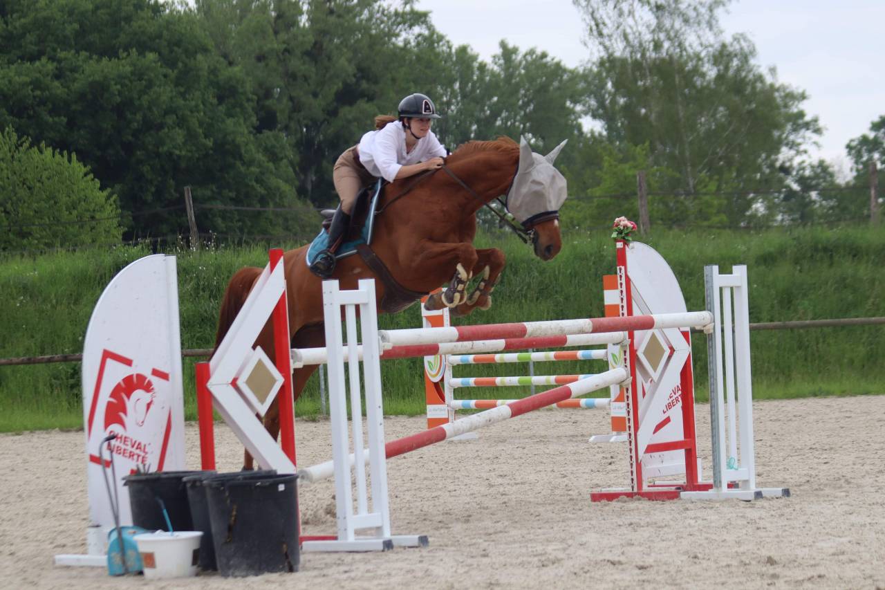 Cheval de sport à prendre en DP ou pension complète