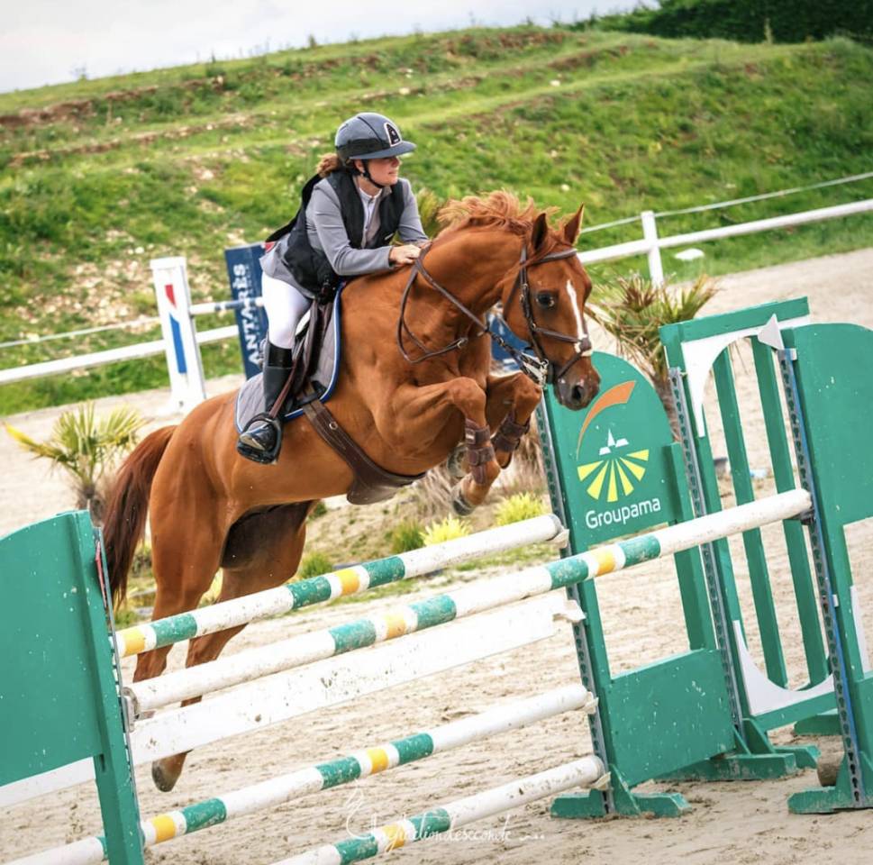 Cheval de sport à prendre en DP ou pension complète