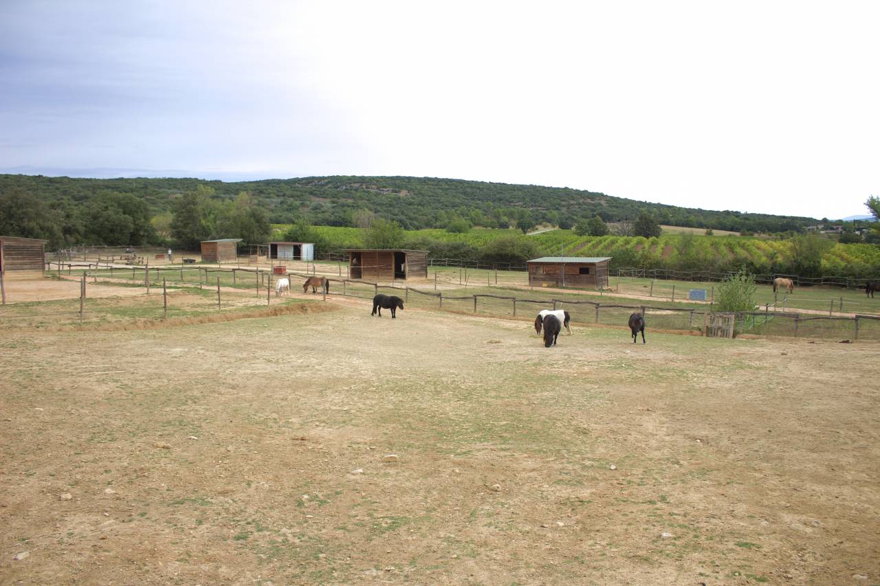 PENSIONS DISPONIBLES DANS LE VAR (83)