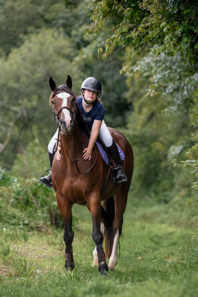 Hongre pur sang anglais 