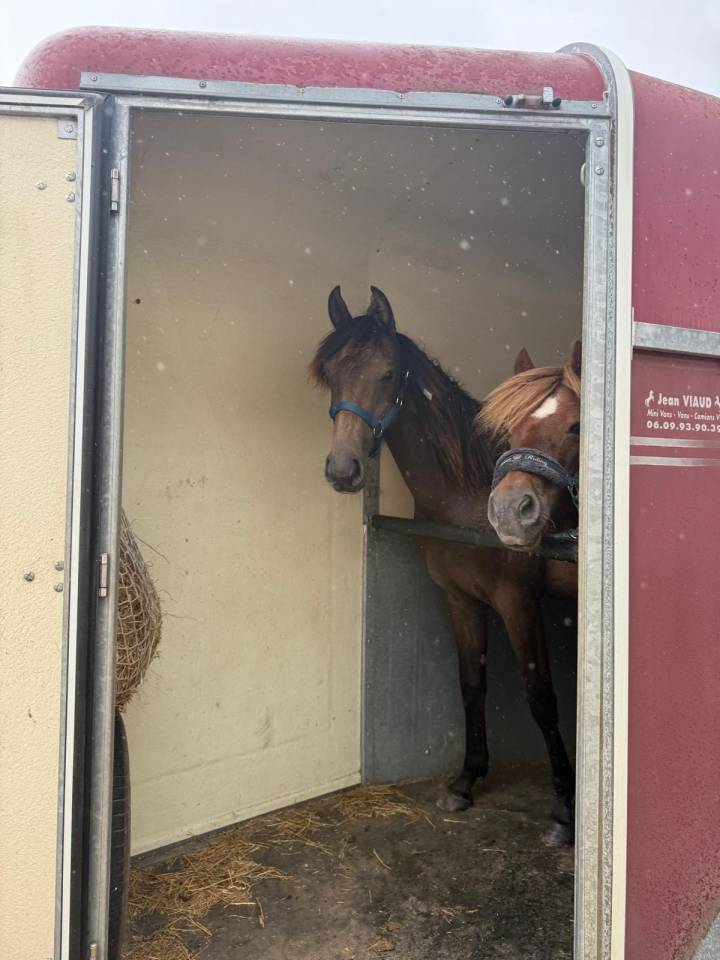 Hongre 2024 Oc orientation CSO