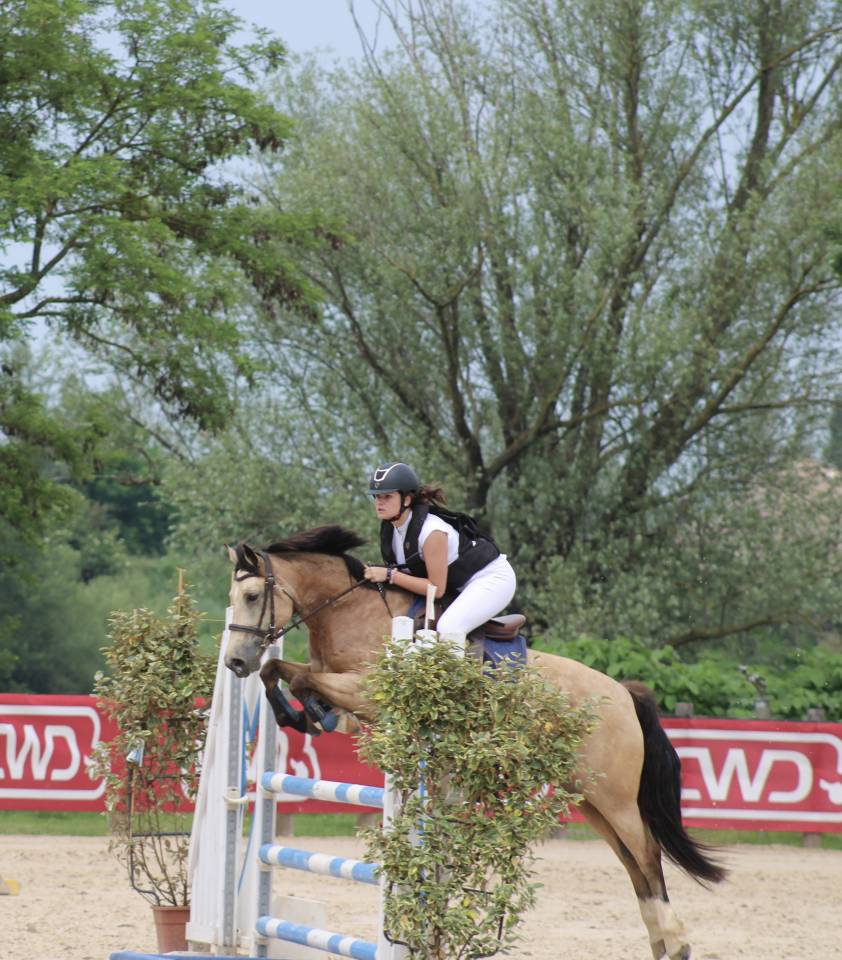 À LOUER - Jument isabelle de 13ans 