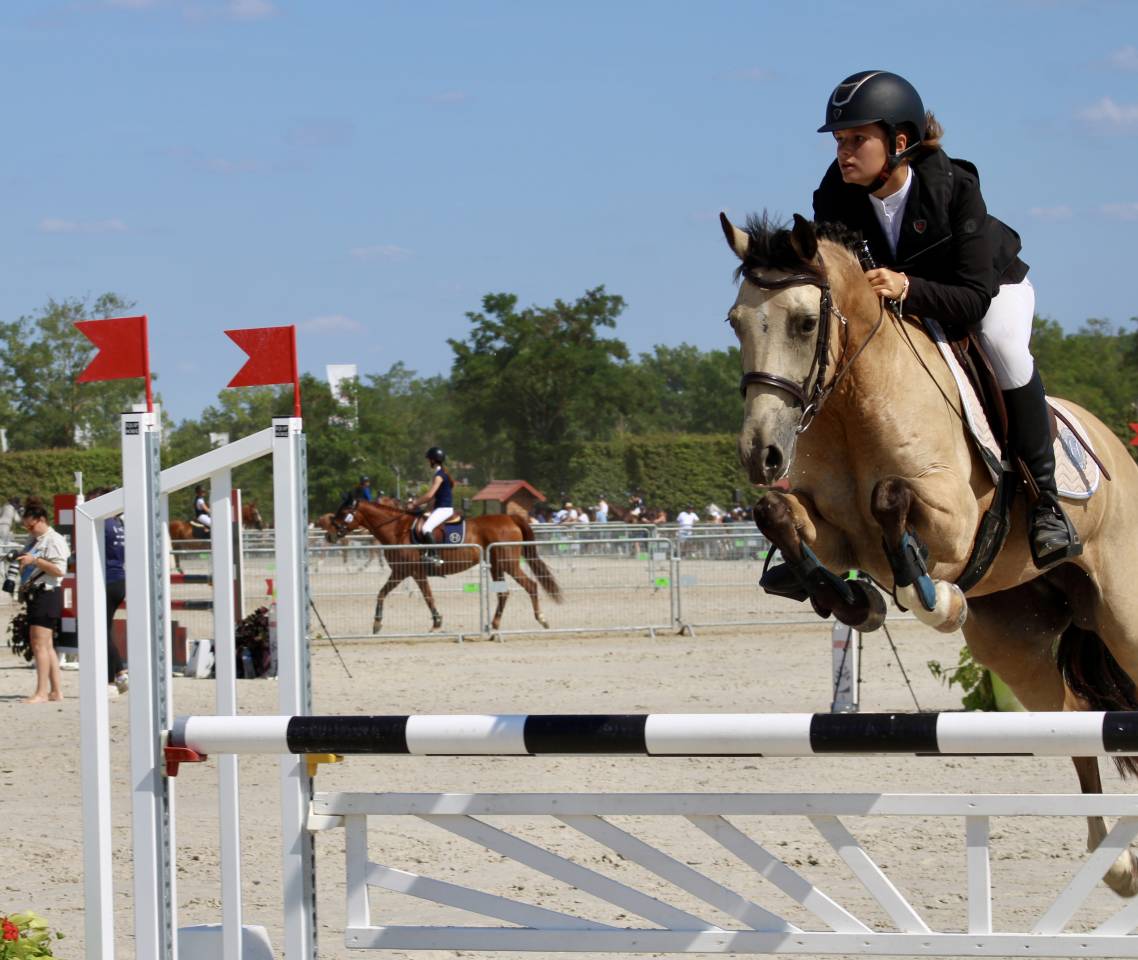 À LOUER - Jument isabelle de 13ans 
