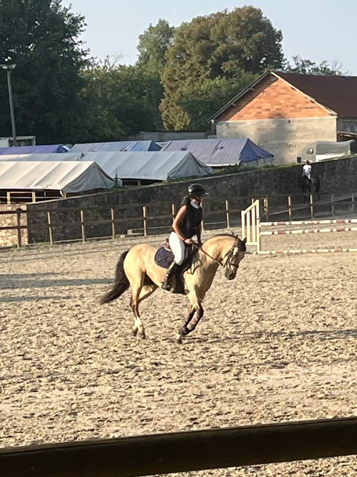 À LOUER - Jument isabelle de 13ans 