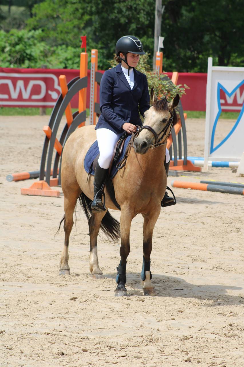 À LOUER - Jument isabelle de 13ans 