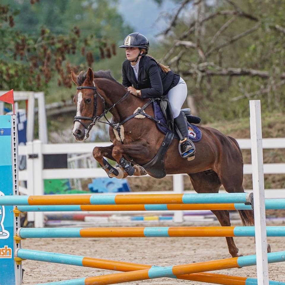 Pony C