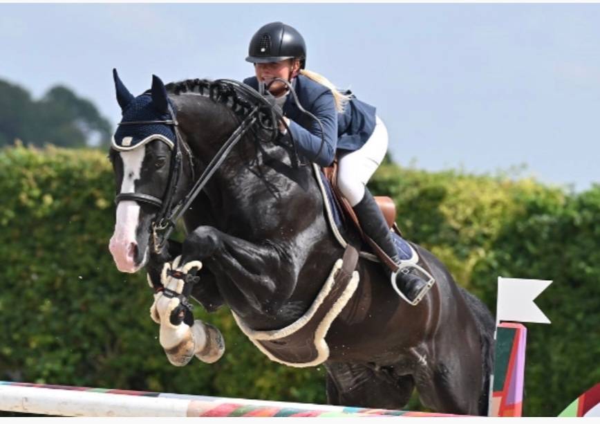 Pouliche selle française 