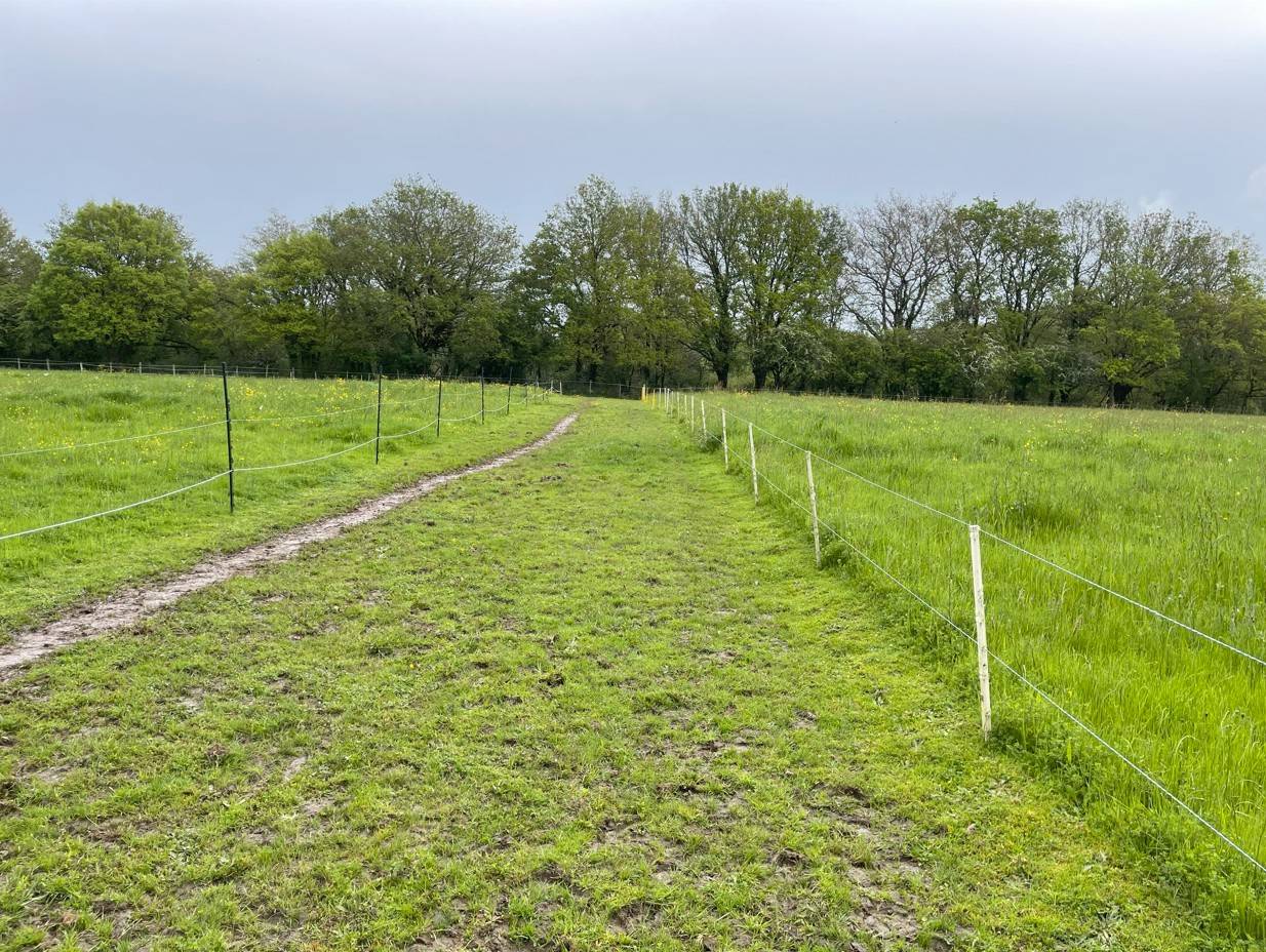 Pension pr&eacute; cheval - commune de Sautron