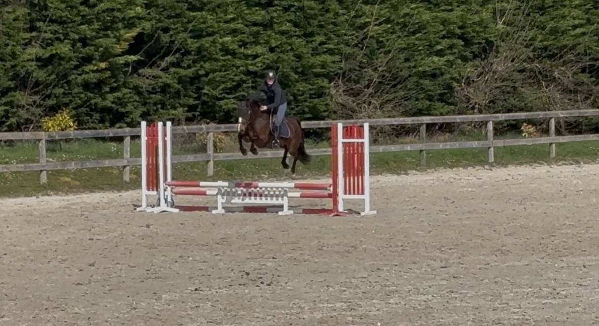 Propose demi pension