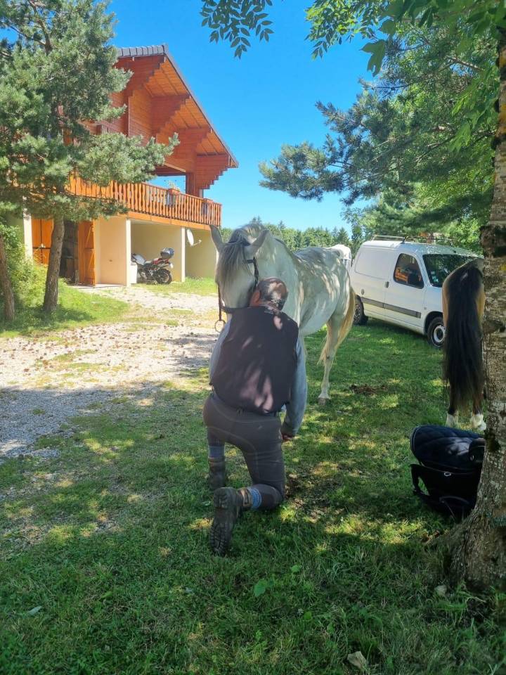 ALASKA BARBE PP HONGRE BLANC 15 ANS FACILE 4500 €