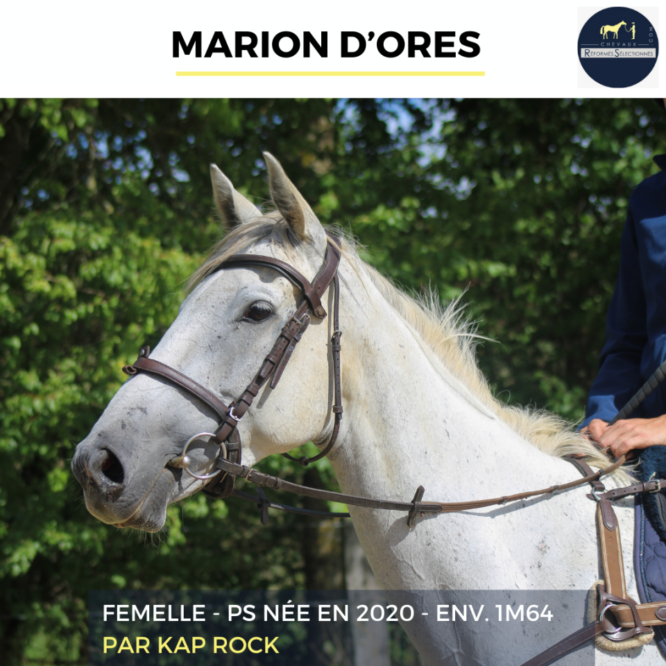 MARION D'ORES - PS - 5 ANS