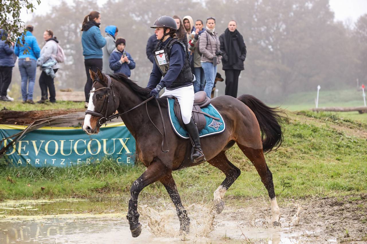 Recherche demi pension pour cheval polyvalent de 8 ans 