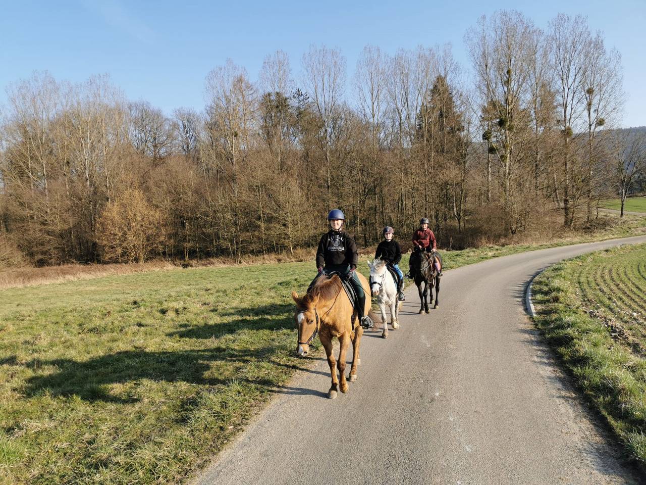 JUMENT PAINT HORSE - 18 ANS