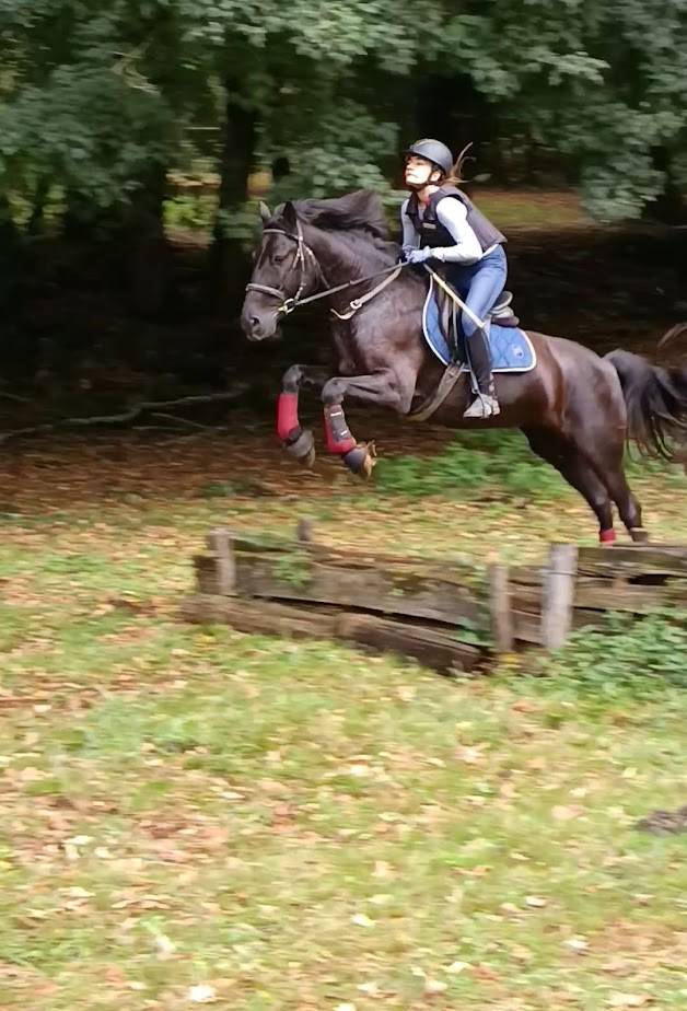 CHEVAL KABARDIN (RUSSE) - 10 ANS