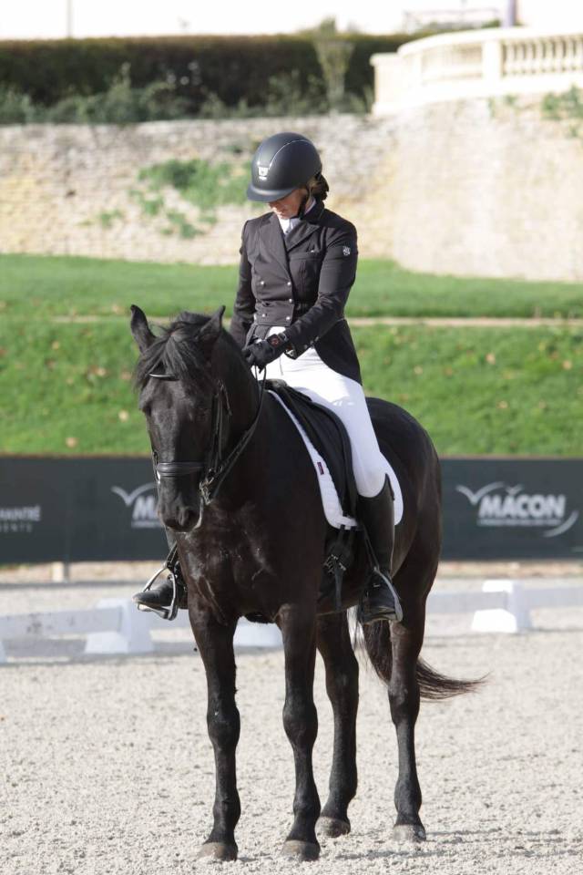 CHEVAL KABARDIN (RUSSE) - 10 ANS