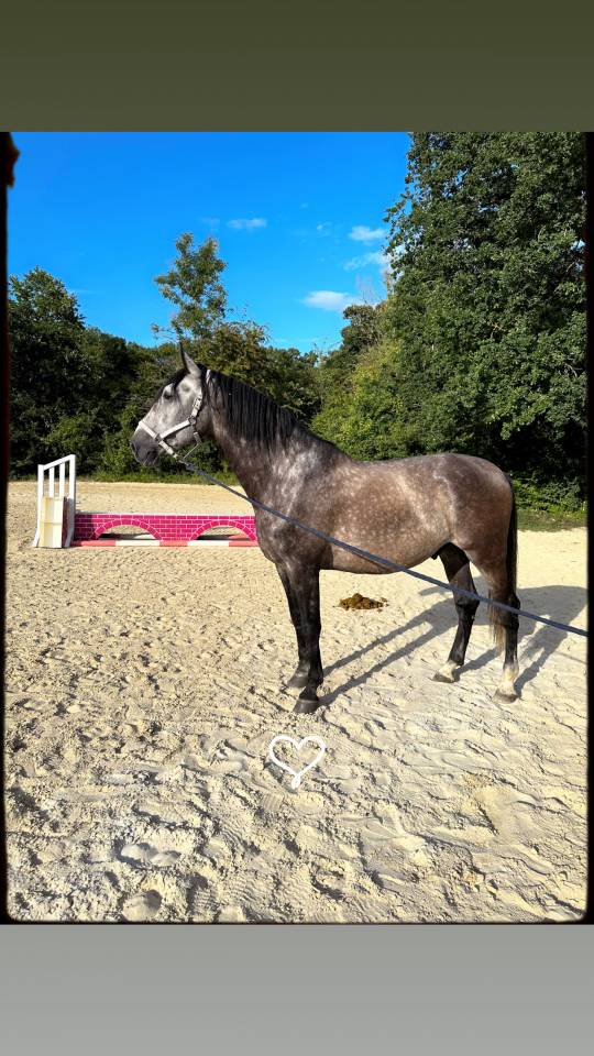 Demi pension pre 1m75