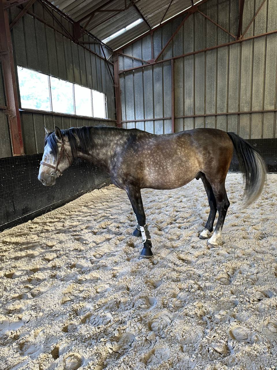 Demi pension pre 1m75