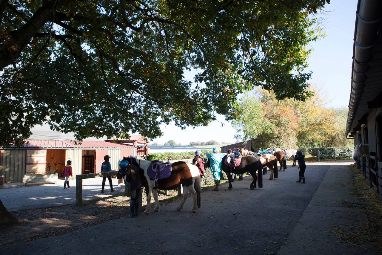 Enseignant / animateur d’équitation H/F