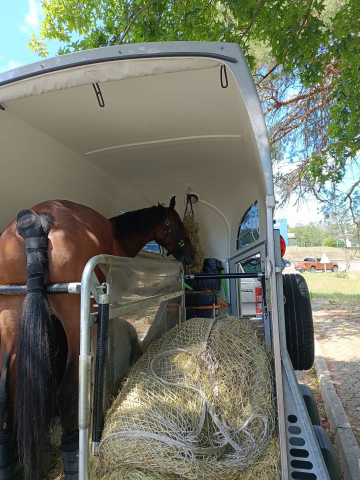 Van BÖCKMANN DUO-C Pack Luxe