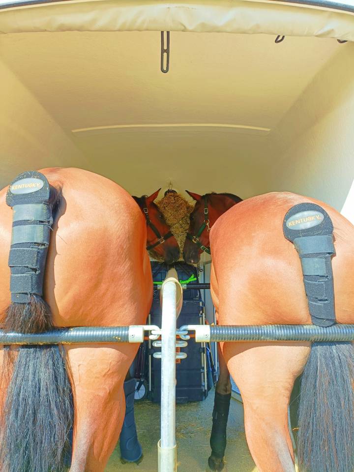 Van BÖCKMANN DUO-C Pack Luxe