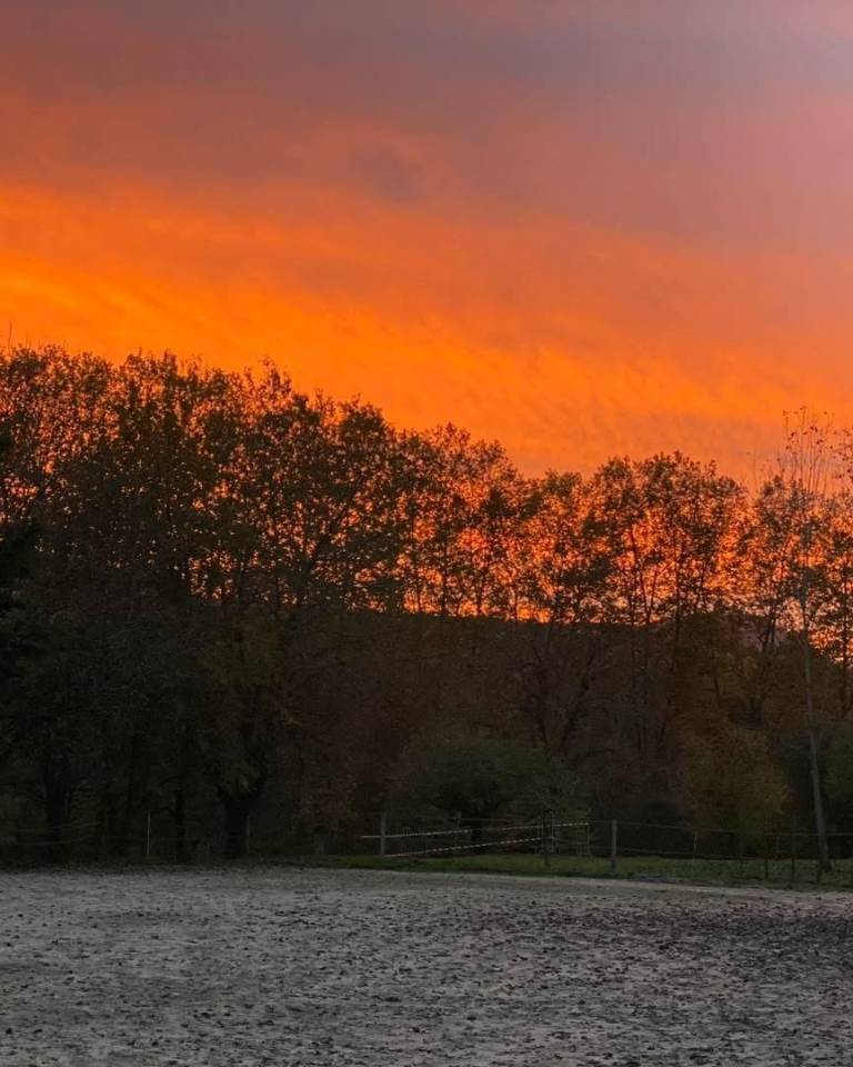 Pension Boxes Terrasses "OFFRE DE LANCEMENT"