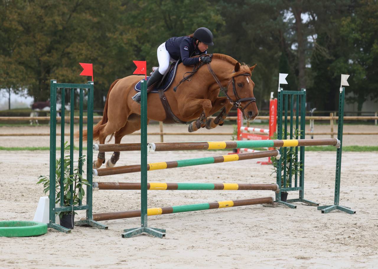 Recherche demi pension pour Storm