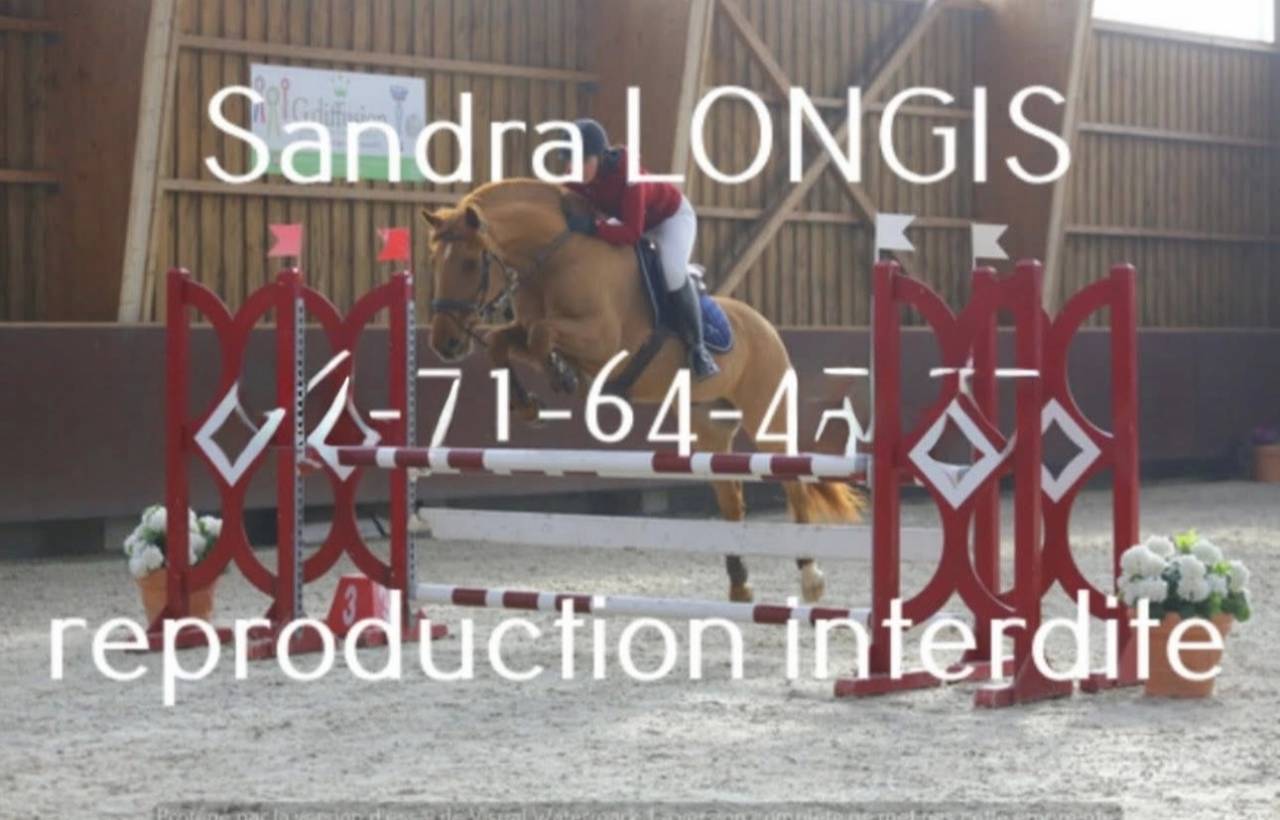 Recherche demi pension pour Storm