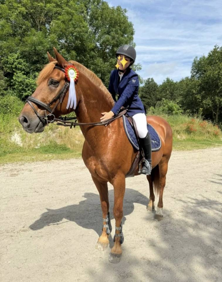 Recherche demi pension pour Storm