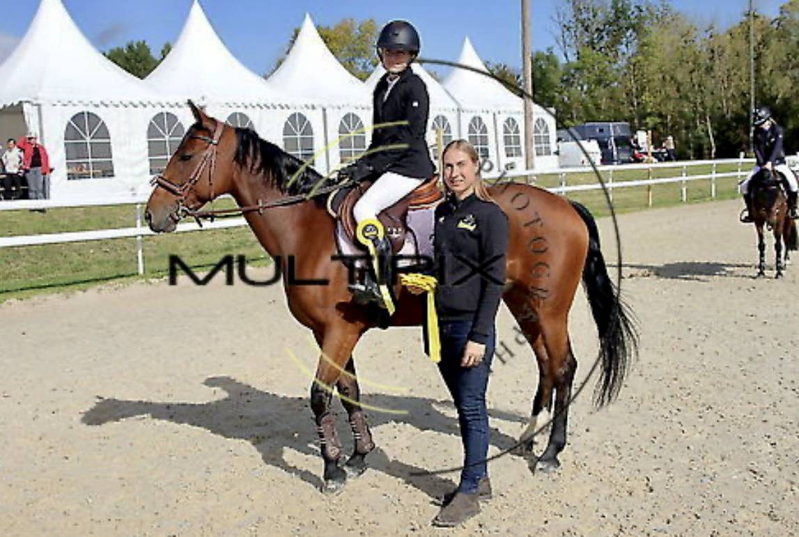 cavalier pour une pension complète 