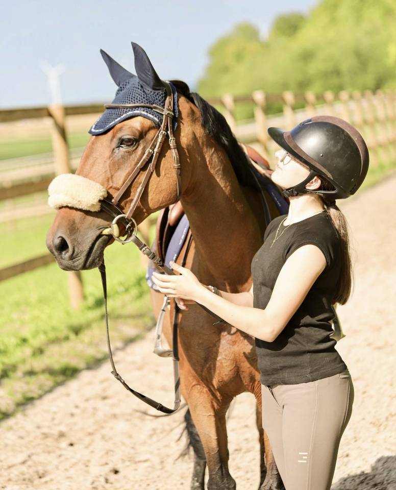 cavalier pour une pension complète 