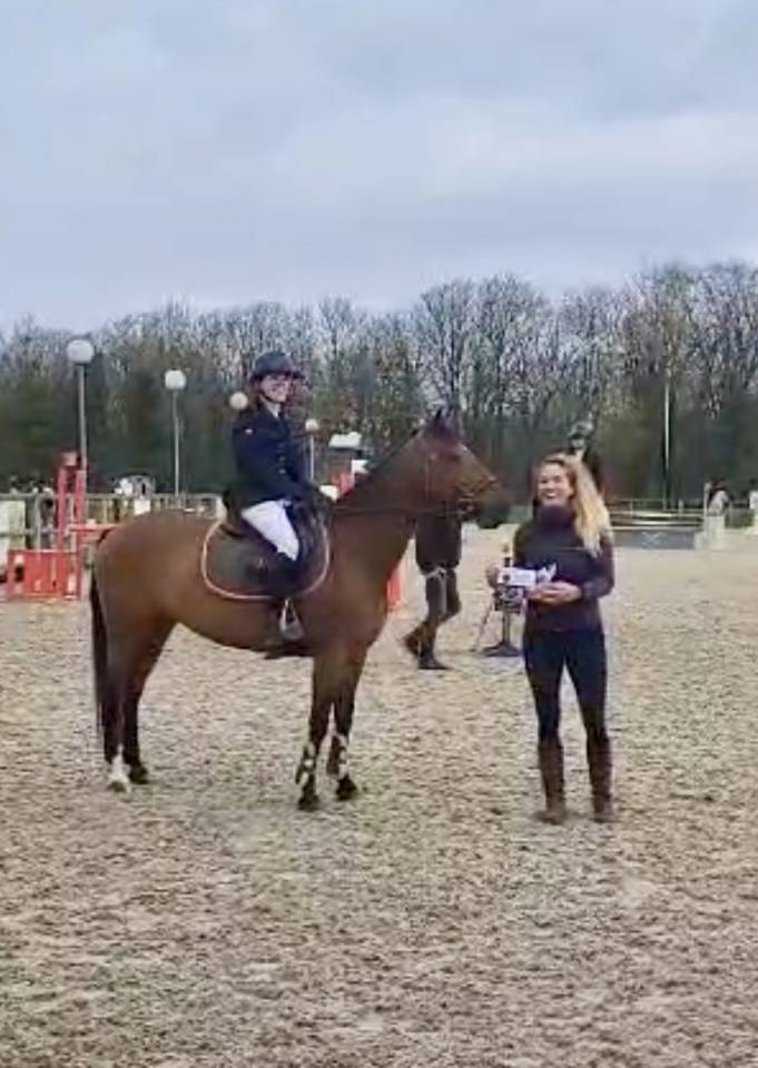 cavalier pour une pension complète 