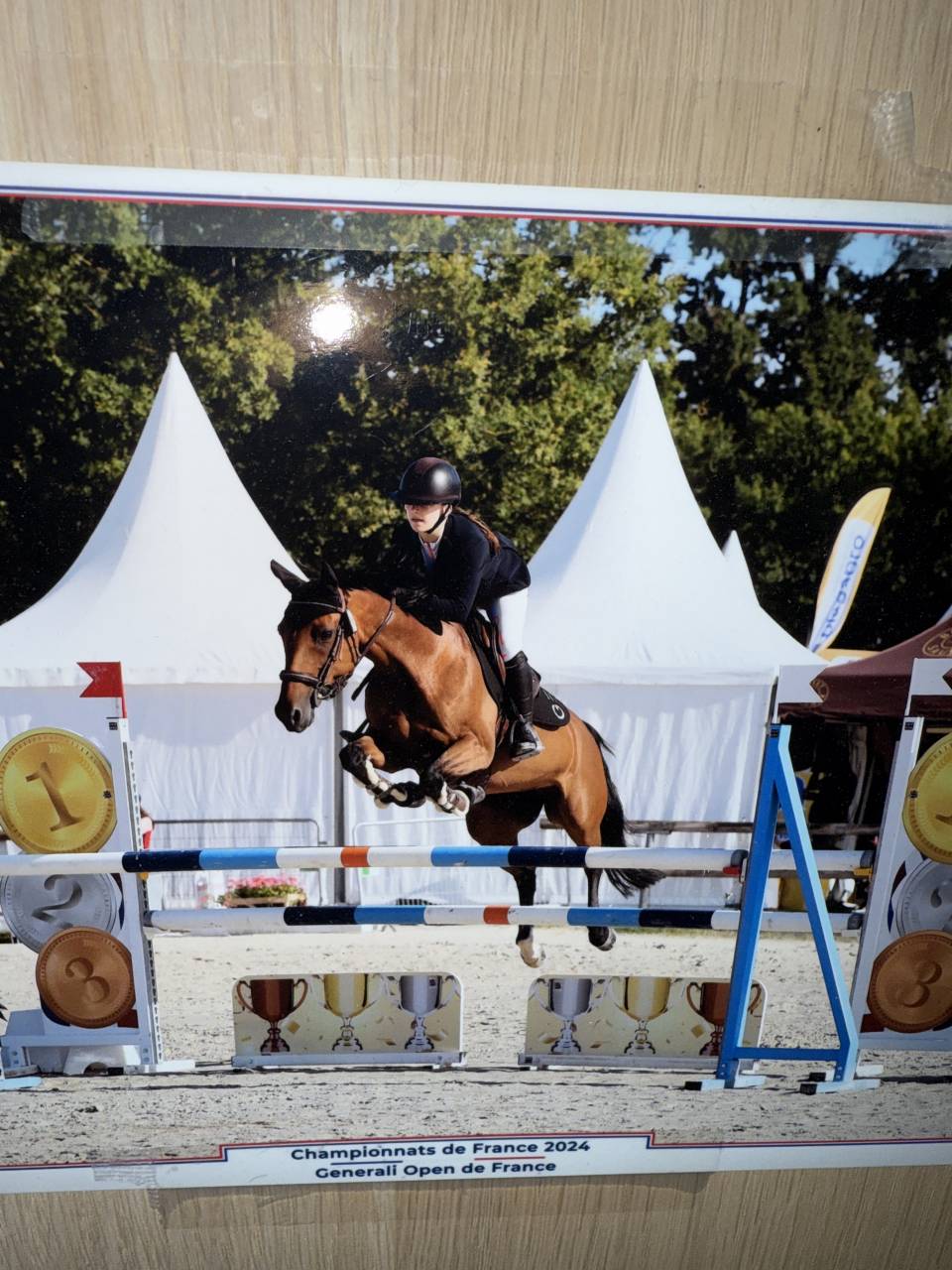 cavalier pour une pension complète 